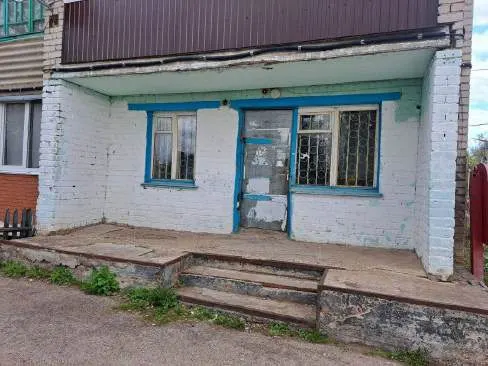 Недвижимое имущество: Нежилое здание, площадь 47кв.м., количество этажей 1