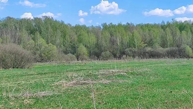 Аукцион в отношении земельного участка с КН 50:23:0040714:340