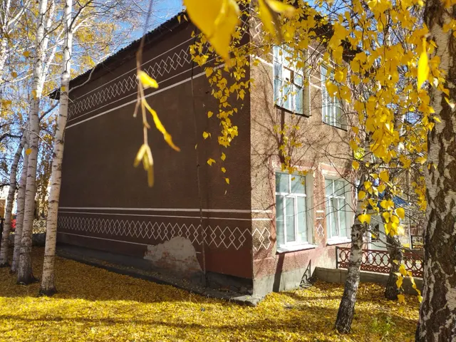 Помещение площадью 32,60 кв.м. адрес (местонахождение) объекта: 658390, Алтайский край, Шипуновский р-н, Шипуново с, Комсомольский пр-кт, владение № 48