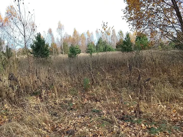 на право заключения договора аренды земельного участка с кадастровым номером 62:25:0040405:872, принадлежащего на праве собственности  муниципальному образованию – Тырновское сельское поселение Шиловского муниципального района Рязанской области, площадью 1 119 275  кв.м, из земель сельскохозяйственного назначения, с разрешенным использованием – для  сельскохозяйственного производства, местоположение: Российская Федерация, Рязанская область,  Шиловский муниципальный район, вблизи с.Тырново
