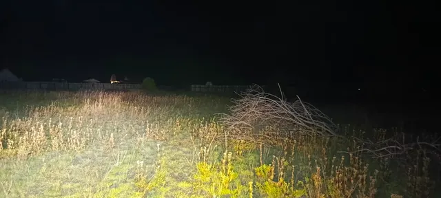 Земельный участок площадью 1000 кв. м, кадастровый номер 03:08:370101:4077. Местоположение установлено относительно ориентира, расположенного в границах участка. Почтовый адрес ориентира: Республика Бурятия, Иволгинский район, с.п. Нижнеиволгинское, с. Нижняя Иволга, ДНТ «Сэлэнгэ», ул. Октябрьская, уч. 35.