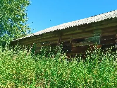 Земельный участок категории земель – земли сельскохозяйственного назначения, вид разрешенного использования – для ведения подсобного хозяйства, площадью 653 кв.м., с кадастровым номером 44:07:053001:282, с расположенным на нем нежилым зданием скотного двора площадью 242,5 кв.м., с кадастровым номером 44:07:051701:71, по адресу: Костромская обл., Костромской р-н., д. Шелково