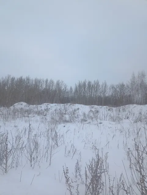 Земельный участок из состава земель населенных пунктов  с кадастровым номером 55:36:030117:1027