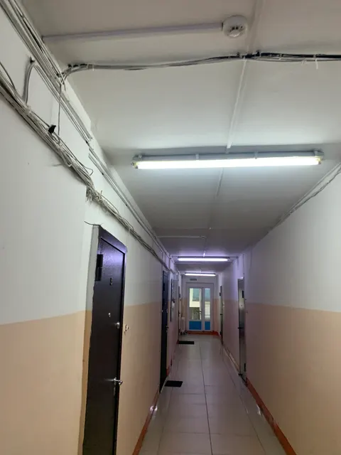 Жилое помещение (квартира) площадью 35,6 кв.м, кадастровый номер: 25:28:000000:48033, расположенное по адресу: Приморский край, г. Владивосток, ул. Сахалинская, д. 5А, кв. 6