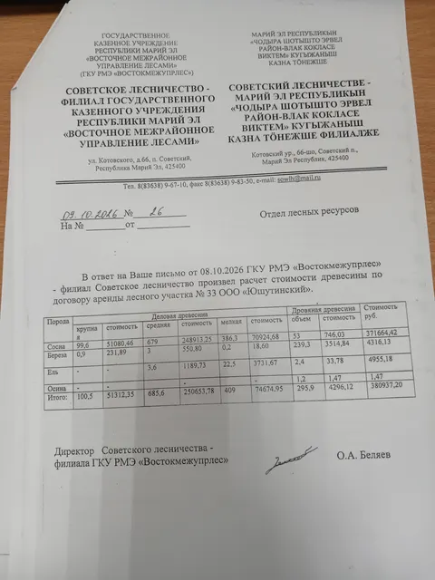 Древесина