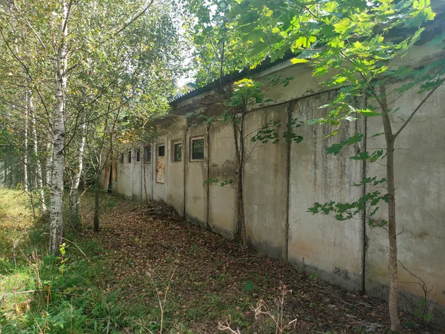 нежилое здание, 1 этажное, общей площадью 302,1 кв.м. расположенное по адресу: Ярославская область, Ростовский район, д.Лазарево, д.25 (кадастровый номер 76:13:031005:174) с земельным участком площадью 600 кв.м. (кадастровый номер: 76:13:031005:104)
