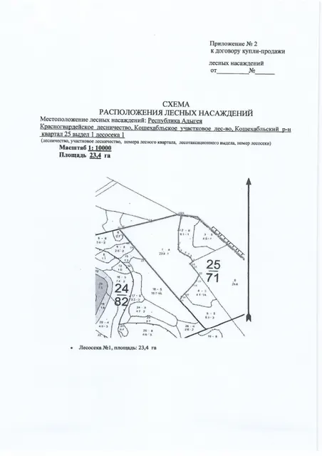 Лесные насаждения
