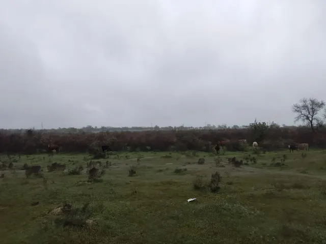 Земельный участок, площадь 500 кв. м., кадастровый №: 05:50:000009:198, земли населенных пунктов, местоположение: Республика Дагестан, Кумторкалинский район (должник Кубасаев К. М.)