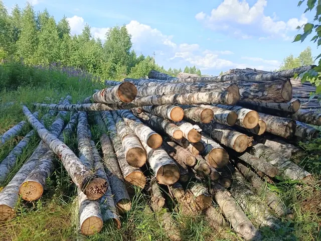 1. Бревна породы береза (дровяная) объемом 0,673 куб.м. - 4 шт.; 2.Древесина породы береза объемом 5,54 куб.м. - 49 шт. -Осина объемом 0,35 куб. м.- 2 шт. -Липа объемом 1,54 куб. м. - 20 шт.