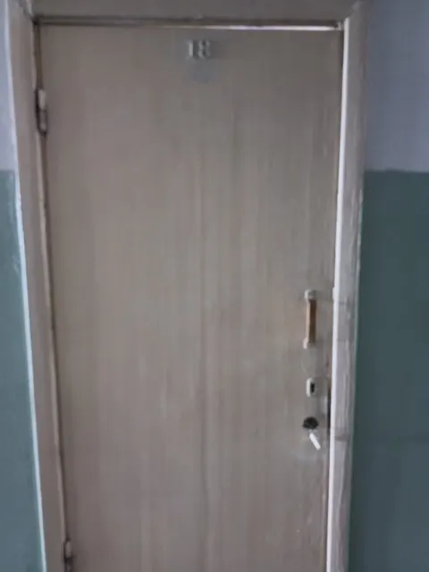 Нежилое помещение, кадастровый номер 38:31:000008:2083, площадь 54 кв. м., расположенное по адресу: Российская Федерация Иркутская область, городской округ город Усолье-Сибирское, город Усолье-Сибирское, улица Менделеева, здание 45, помещение 10а