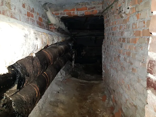 Нежилое помещение, находящееся в государственной собственности Санкт-Петербурга, расположенное по адресу: Санкт-Петербург, 11-я линия В.О., д. 28, литера Б, пом. 1-Н