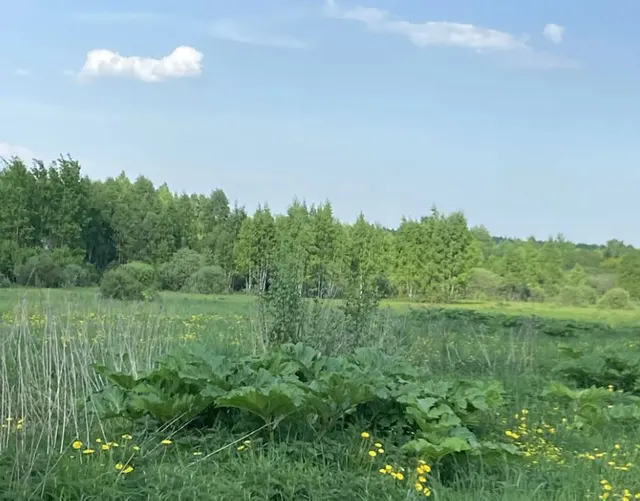 Аукцион в отношении земельного участка с КН 50:18:0080412:1437