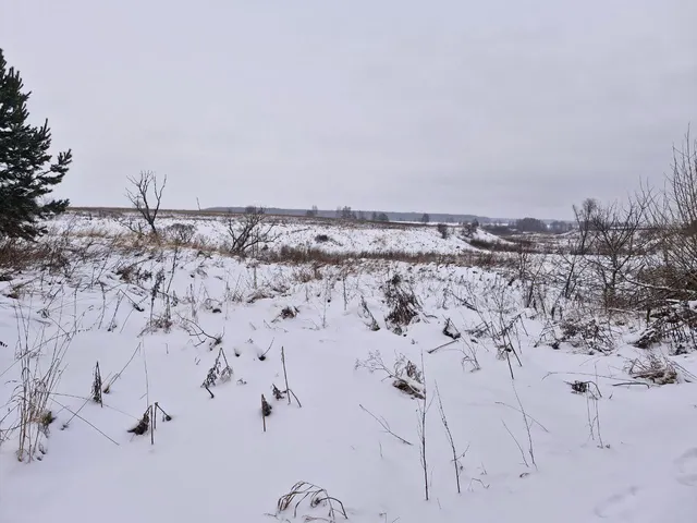 Аукцион в отношении земельного участка с КН 50:33:0030430:698