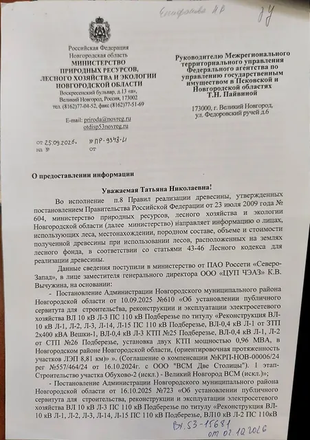 Древесина. Лот № 18.3