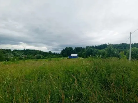 Аукцион в отношении земельного участка с КН 50:34:0040208:1480