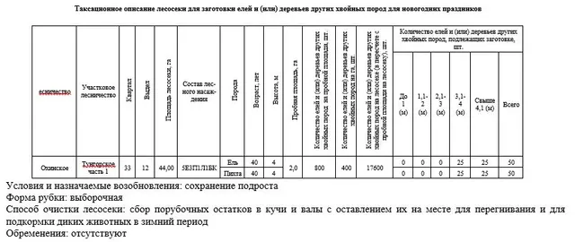 Право заключения договора купли-продажи лесных насаждений для заготовки елей и (или) деревьев других хвойных пород для новогодних праздников в границах земель лесного фонда Охинского лесничества