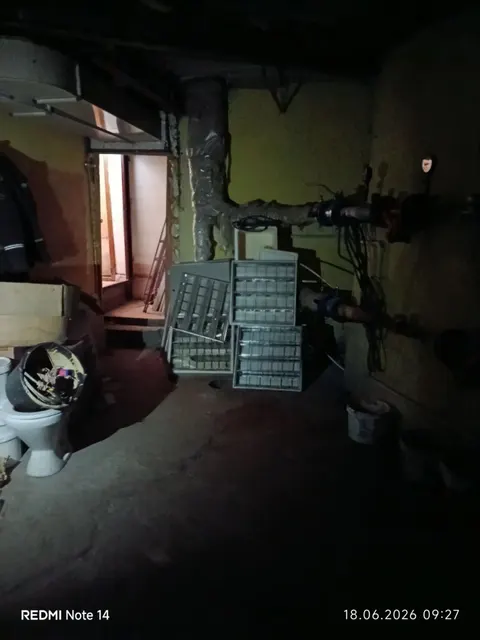 Нежилое помещение с кадастровым номером 62:29:0080011:777, назначение: нежилое, площадью 44,4 кв.м, этаж № 1, расположенное по адресу: Российская Федерация, Рязанская область, г.о. город Рязань, г. Рязань, ул. Соборная,  д. 52, помещение Н4, реестровый номер: 152320.