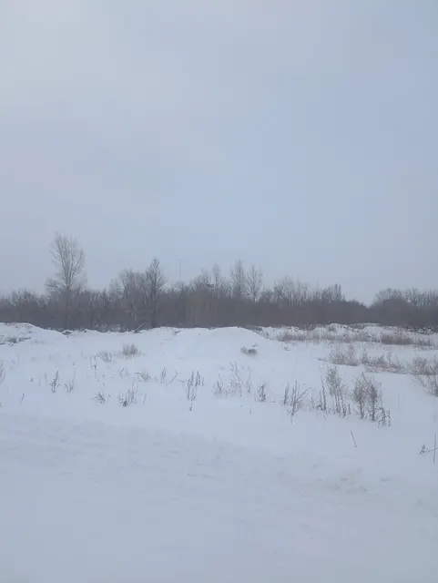 Земельный участок из состава земель населенных пунктов  с кадастровым номером 55:36:030117:1026