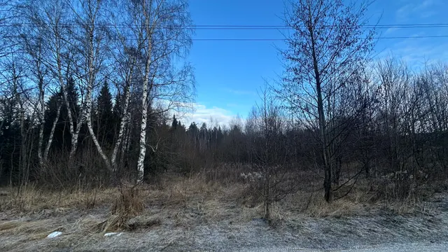 Аренда земельного участка 12 030 кв.м. под производственную деятельность, склады в Павлово-Посадском г.о. (КН 50:17:0030605:500)