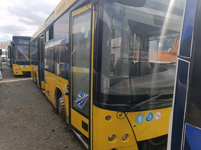 Автобус МАЗ 206068, государственный регистрационный знак  М 185 АТ 186