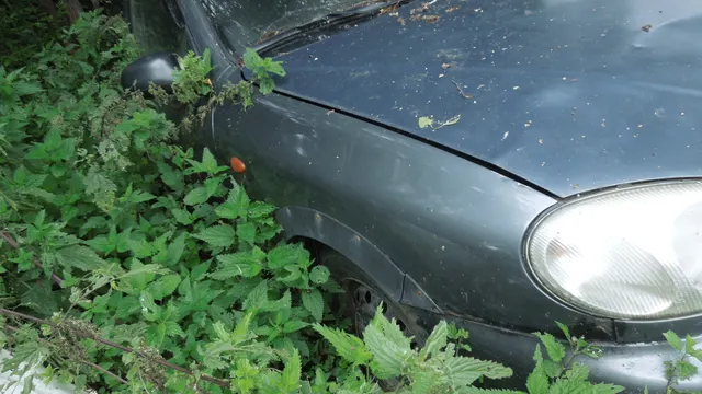 Автомобиль марки "ЗАЗ Шанс", VIN Y6DTF69Y090218039, грз М874АА35