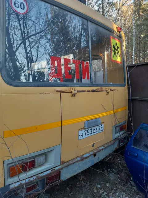 Автобус для перевозки детей ПАЗ 3206-110-70