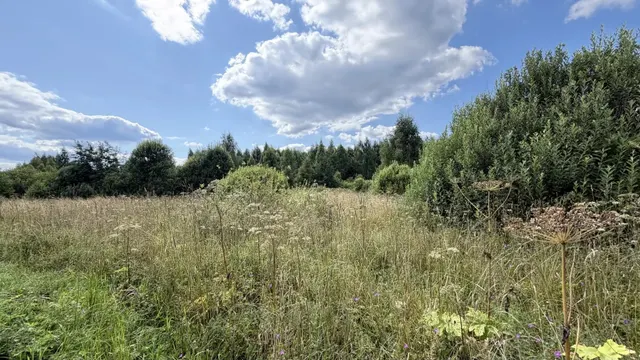 Аукцион в отношении земельного участка с КН 50:08:0080328:625