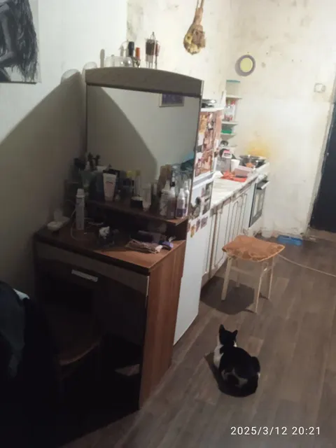 Помещение жилое, кадастровый номер 68:29:0308060:687, площадь 18 кв. м, этаж №2, вид права: собственность: адрес: Тамбовская область, г Тамбов, ул. Академика Островитянова, д. 20, кв. 14, ком. 22