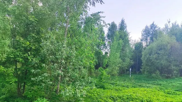 Аукцион в отношении земельного участка с КН 50:23:0010240:941