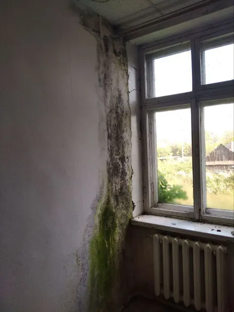 Здание конторы, площадью 365,2 кв.м, кадастровый номер 59:32:0100009:7448, расположенное на земельном участке площадью 1380 кв.м., кадастровый номер 59:32:0100009:795, по адресу: Российская Федерация, край Пермский, муниципальный округ Пермский, поселок Юго-Камский, улица Мира, здание 2.
