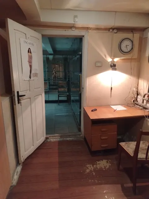 Нежилое помещение, площадью 84,2 кв.м., кадастровый номер: 74:36:0407013:293, реестровый номер:  П13740003644, по адресу: Челябинская область, г. Челябинск, ул. Свободы, д. 86, пом. 17. Целевое назначение: нежилое.