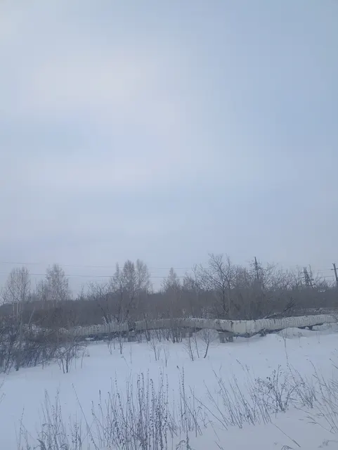 Земельный участок из состава земель населенных пунктов с кадастровым номером 55:36:030117:1025