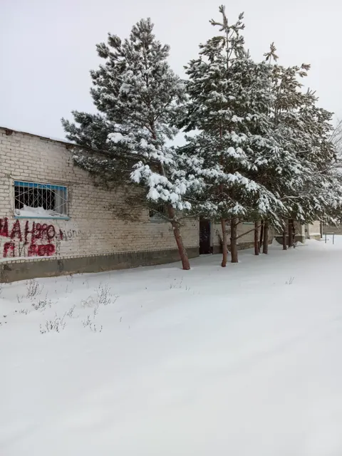 Здание, назначение: нежилое, наименование: Физкультурно - оздоровительный комплекс, общей площадью 536,8 кв.м., кадастровый номер 34:07:070003:4514, расположенного на земельном участке площадью 4469 кв.м., кадастровый номер34:07:070003:743. Двухэтажное, кирпичное строение.Право собственности принадлежит  Линевскому городскому поселению Жирновского муниципального района Волгоградской области.