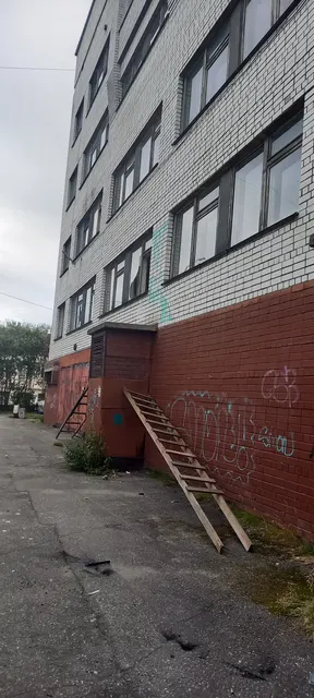 нежилое помещение, кадастровый номер 51:20:0002032:466, площадь 488,6 кв.м., местоположение: Мурманская область, городской округ город Мурманск, город Мурманск, улица Папанина, дом 4, этаж 2