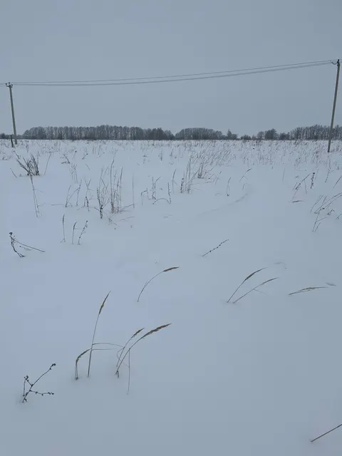 Земельный участок площадью 1405 кв.м., категория земель: земли населенных пунктов, кадастровый номер: 13:09:0117027:134, расположен по адресу: Республика Мордовия, Инсарский муниципальный район, городское поселение Инсар, г.Инсар, ул. Светлая, земельный участок 24, вид разрешенного использования земельного участка: блокированная жилая застройка