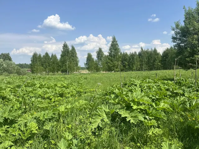 Аукцион в отношении земельного участка с КН 50:08:0060221:719