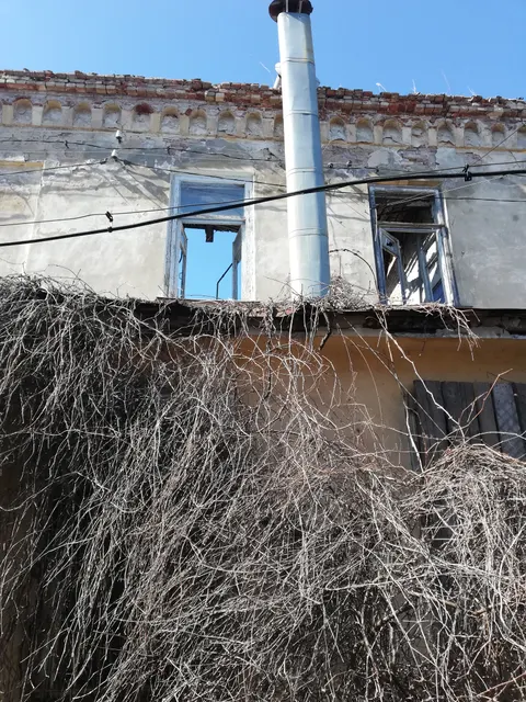 Нежилое здание по адресу: г. Таганрог, ул. Фрунзе, 54 (Объект приватизации является объектом культурного наследия регионального значения – «Комплекс жилых зданий», 2пол. XIX в. на основании постановления комитета по охране объектов культурного наследия Ростовской области от 04.10.2023 № 1586)