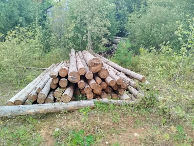 Древесина породы ель в штабеле объемом 12,263 м3