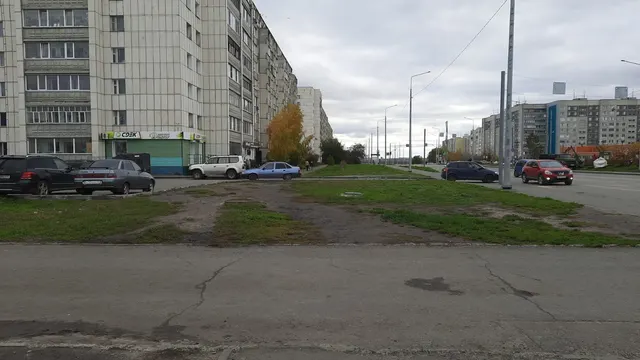 Елочный базар по адресу: г. Курган, 5 микрорайон, в районе здания № 1