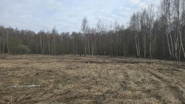 Аукцион в отношении земельного участка с КН 50:33:0030217:1501