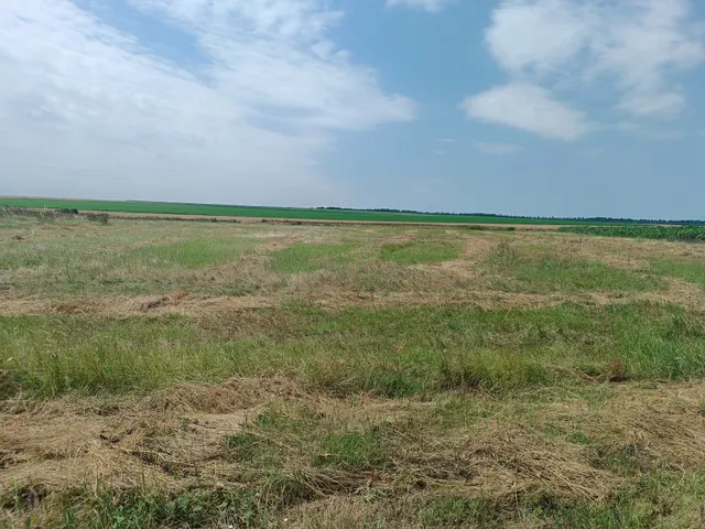 Продажа права на заключение договора аренды сроком на 10 лет