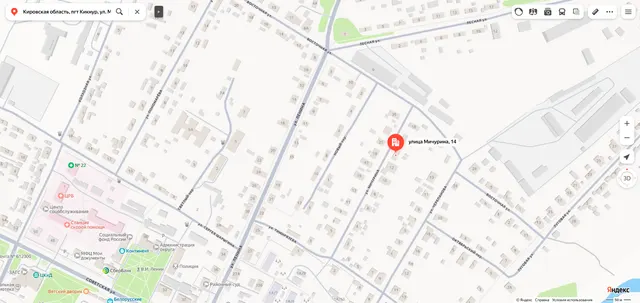 Доля в праве общей долевой собственности (1/3 доли) на жилое помещение «квартира» площадью 46,2 кв.м., этаж № 1, кадастровый номер 43:10:310113:133, расположенное по адресу: Кировская область, пгт Кикнур, ул. Мичурина, д. 14, кв. 1