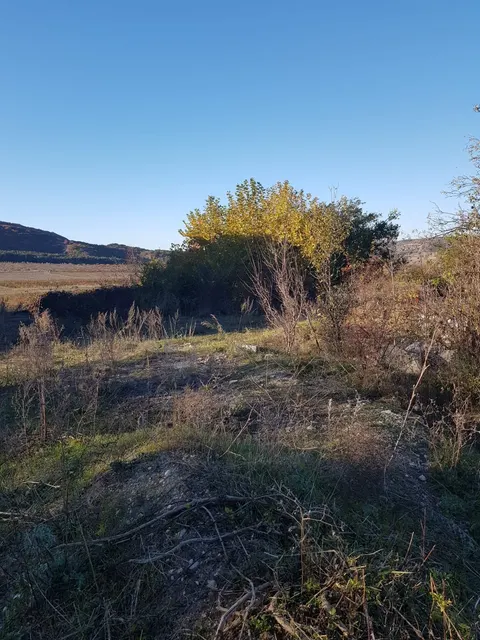 Земельный участок