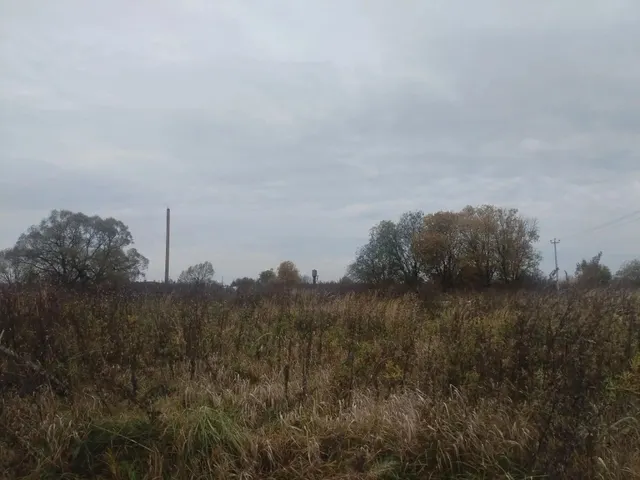 Аукцион в отношении земельного участка с КН 50:18:0070452:1195