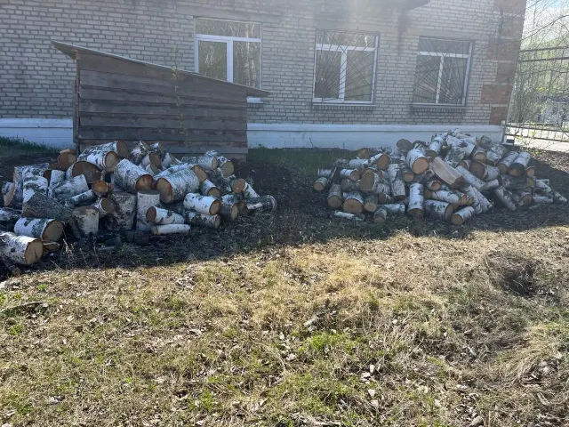 Древесина (вещественные доказательства)