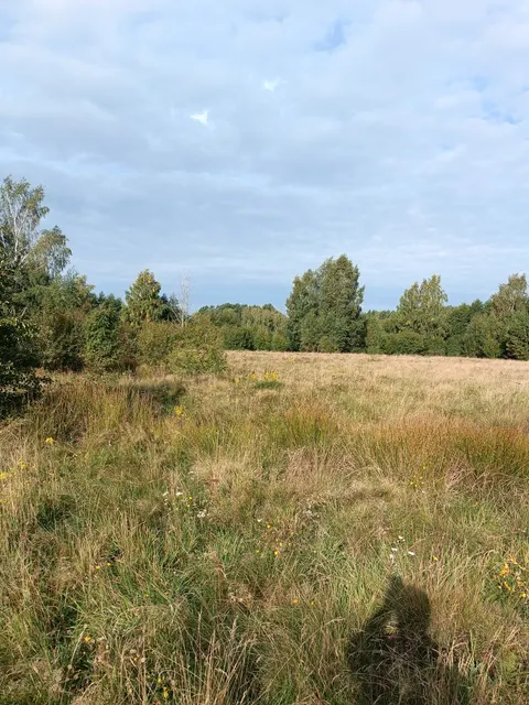 земельный участок с кадастровым номером 39:20:010110:444