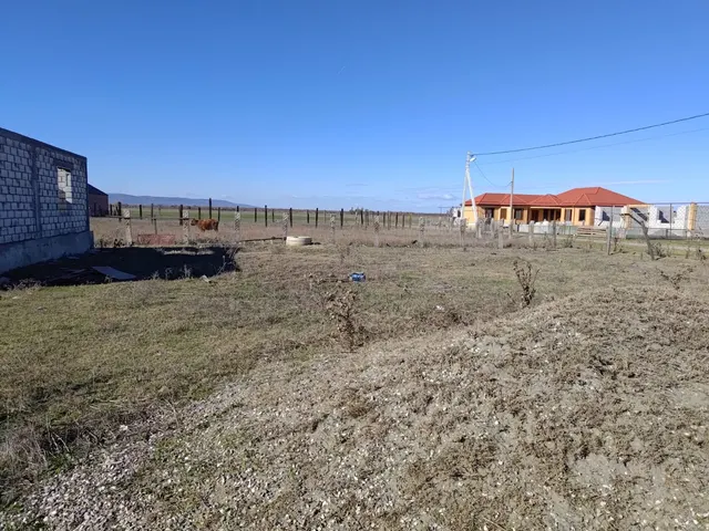 Жилой дом, площадью 124,8 кв.м., кадастровый номер 20:04:2602000:1638; Земельный участок (для индивидуальной жилой застройки), площадью 1000+/-22 кв.м., кадастровый номер 20:04:2602000:1481.