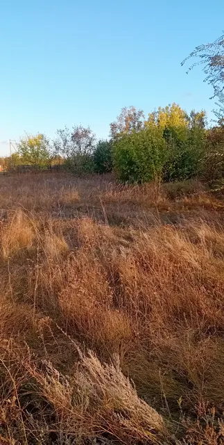 Право заключения договора аренды земельного участка