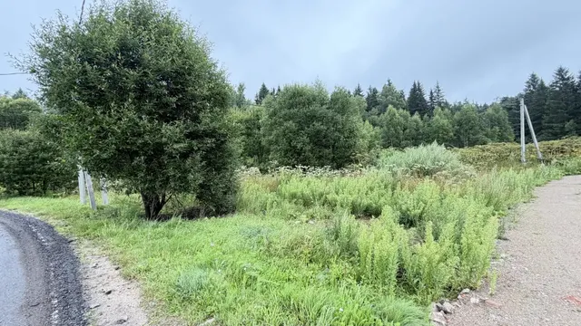 Аукцион в отношении земельного участка с КН: 50:08:0080106:504