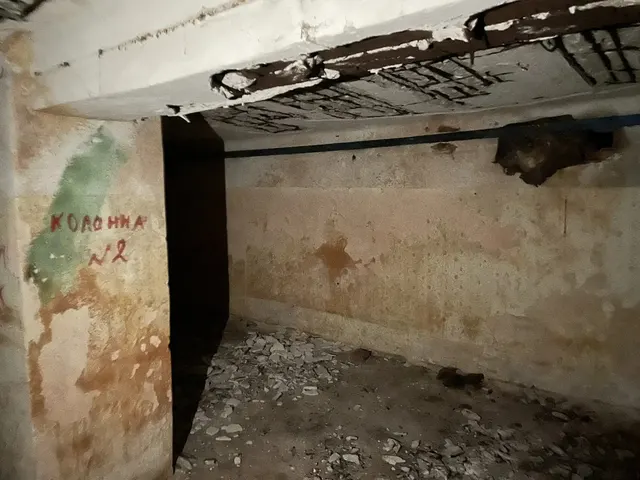Нежилое помещение, расположенное по адресу: г.Владимир, ул.Горького, д.60, общей площадью                     160,9 кв.м (кадастровый номер 33:22:024018:431), а именно: помещения № 42-51 по плану подвала здания